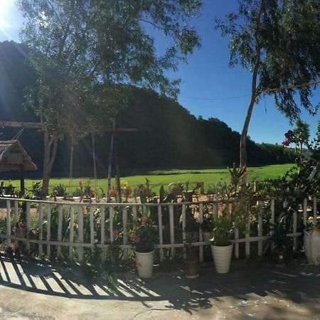 Phong Nha Rice Field Homestay Екстер'єр фото