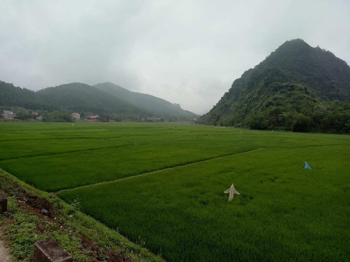 Phong Nha Rice Field Homestay Екстер'єр фото