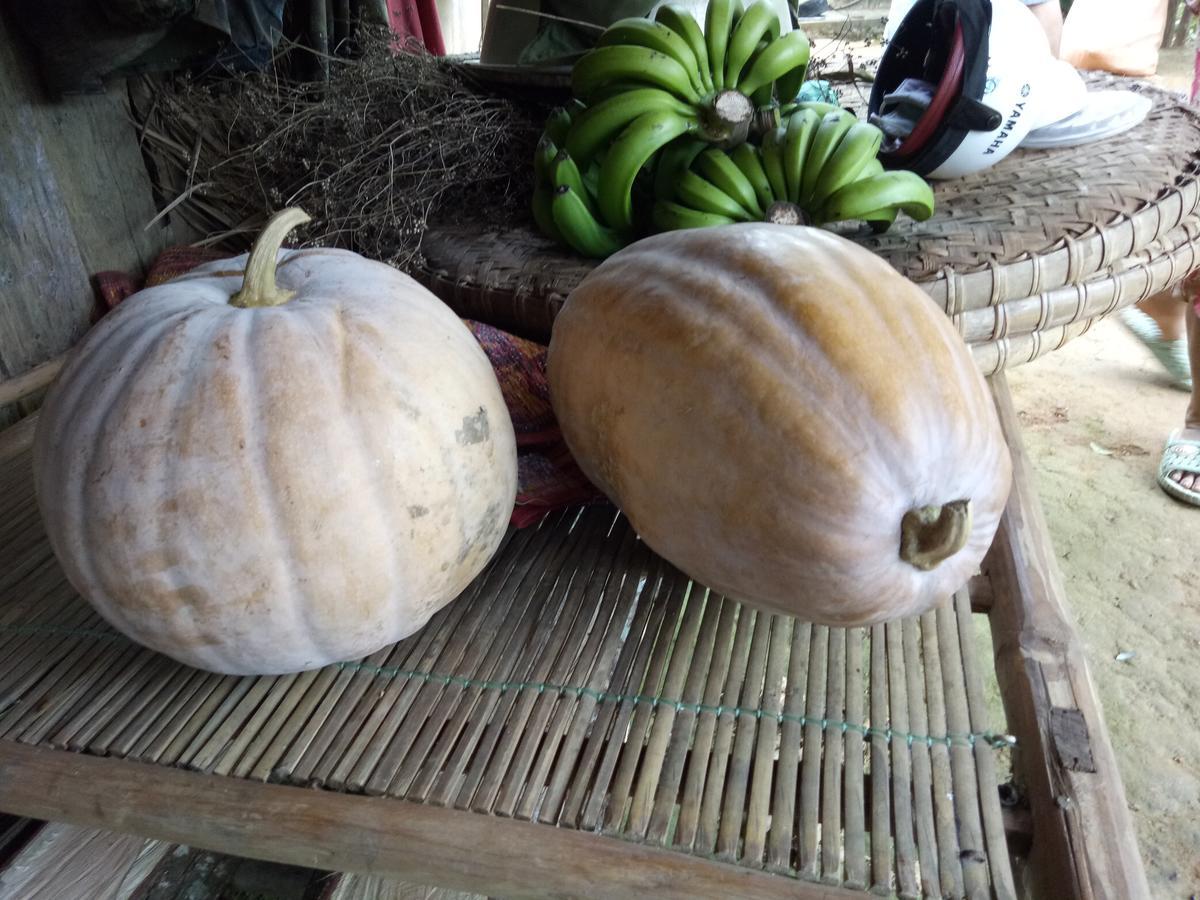 Phong Nha Rice Field Homestay Екстер'єр фото