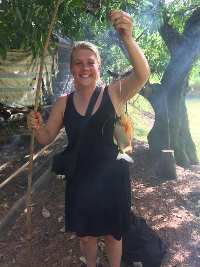 Phong Nha Rice Field Homestay Екстер'єр фото