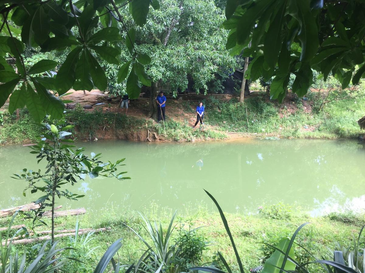 Phong Nha Rice Field Homestay Екстер'єр фото