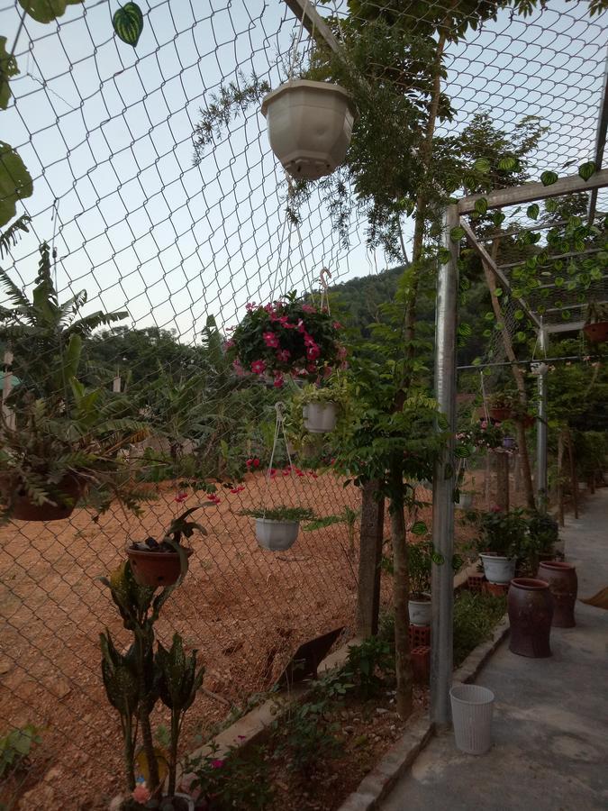 Phong Nha Rice Field Homestay Екстер'єр фото