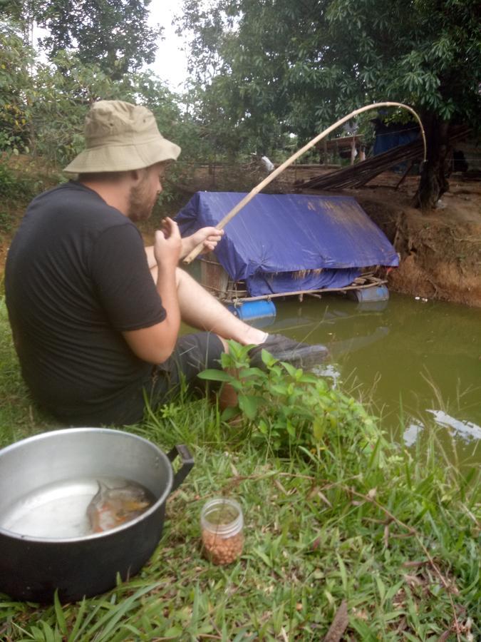 Phong Nha Rice Field Homestay Екстер'єр фото
