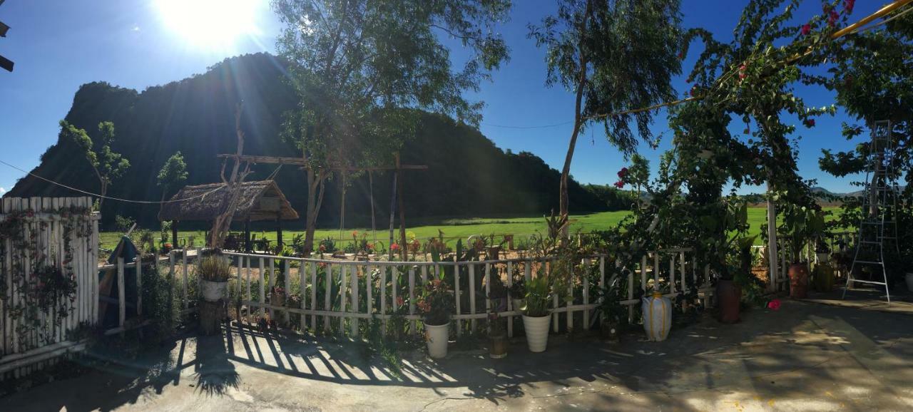 Phong Nha Rice Field Homestay Екстер'єр фото