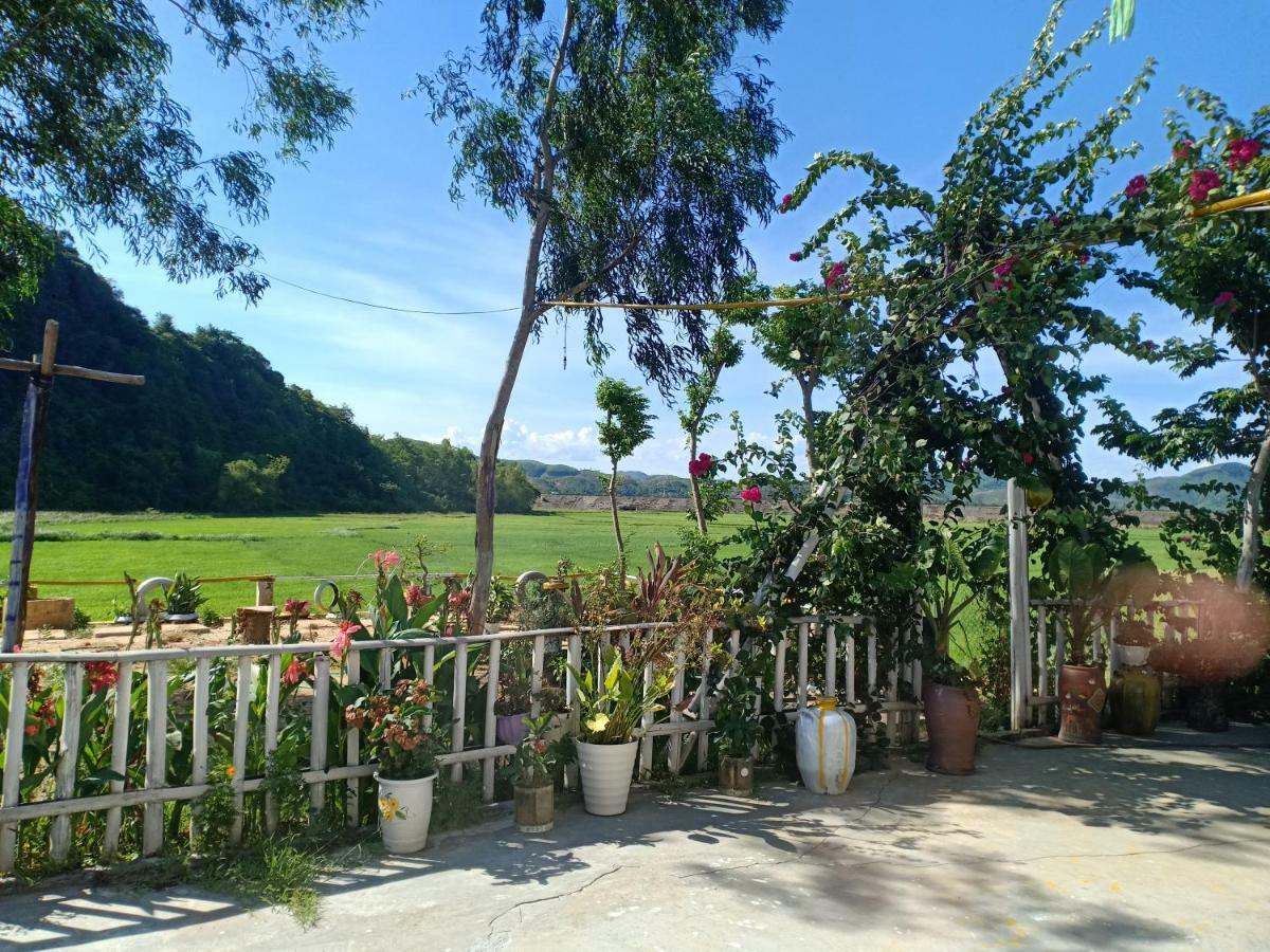 Phong Nha Rice Field Homestay Екстер'єр фото